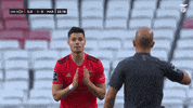 Sl Benfica What GIF by Sport Lisboa e Benfica