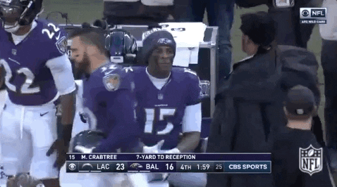 2018 Nfl Football GIF by NFL