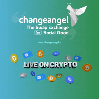 Money Bitcoin GIF by changeangel