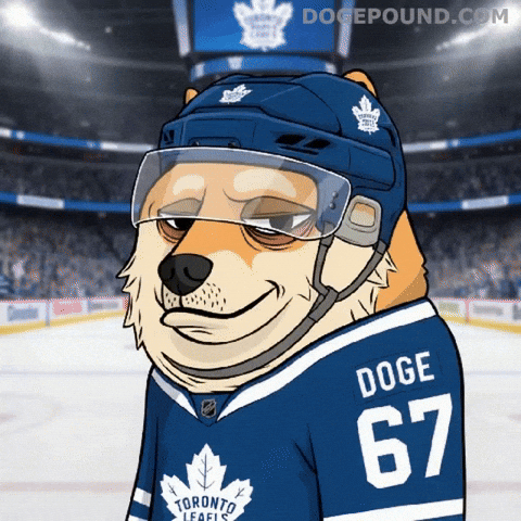 Toronto Maple Leafs Hockey GIF by Doge Pound