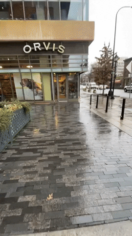 ksteadingseditor giphyupload GIF