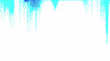 No Forgiveness, No Mercy, Never