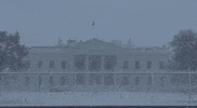 Joe Biden Snow GIF by GIPHY News