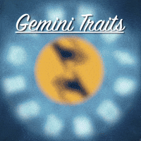 Gemini Traits