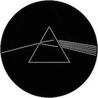 Pink Floyd Gilmour Sticker