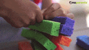 pbs parents kids GIF by PBS
