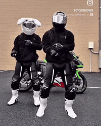 Dance Dancing GIF