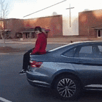 Car Guy GIF
