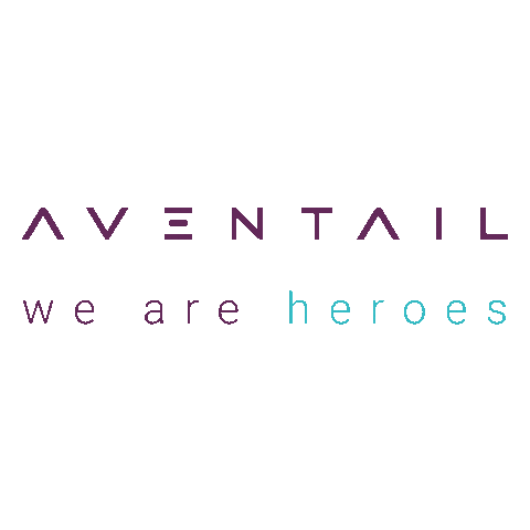 aventail developer we are family itcompany we are friends Sticker