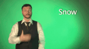sign language snow GIF by Sign with Robert