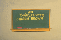 Youre Not Elected Charlie Brown Charles Schultz GIF by Peanuts