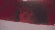 people-vultures GIF by King Gizzard & The Lizard Wizard