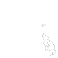 Dog 走る Sticker