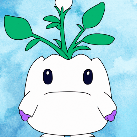 No Way What GIF by Magic Eden