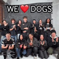 We Love Dogs GIF by Respective