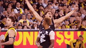 carlton fc GIF by Carlton Football Club