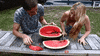 art GIF by Digg