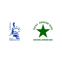 Heerlen Parkstad Sticker by Groene ster