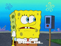 season 8 GIF by SpongeBob SquarePants