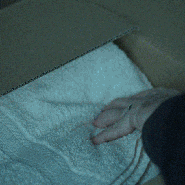 netflix netflix ozark GIF