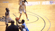 GIF by Creighton University Athletics