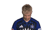 Look Up Hamburger Sv Sticker by Bundesliga