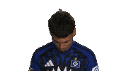 Look Up Hamburger Sv Sticker by Bundesliga