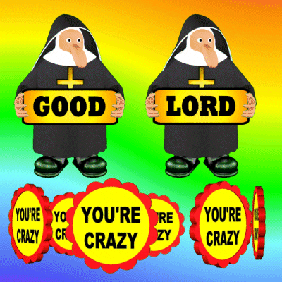 Nun Youre Crazy GIF