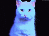 cat vhs GIF