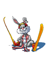 Snow Ski Sticker by Planai_Schladming