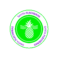 party beach Sticker by Santa Flecheiras