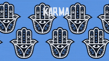 youngwolfhatchlings destiny karma yolo yogi GIF