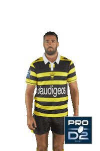 Pro D2 Tales Sticker by Ligue Nationale de Rugby