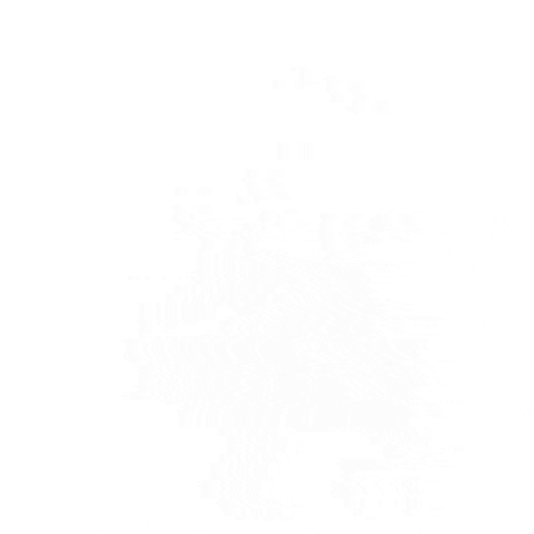 konstantinvsedegov giphygifmaker GIF