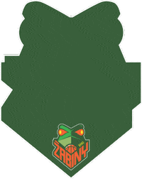 Play Off Sport Sticker by Zabiny Brno