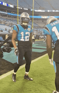 Carolina Panthers Football GIF by NFL