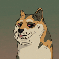 Shiba Inu Dog GIF by Doge Pound