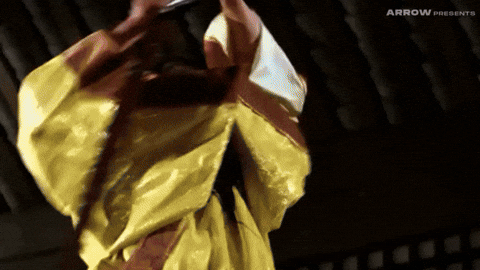 Martial Arts Fight GIF by Arrow Video