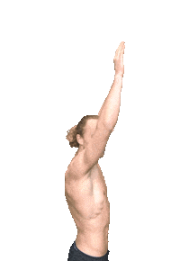 Hendrivermeer correct form calisthenics handstand Sticker