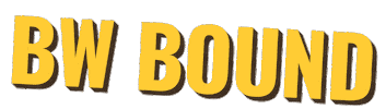 Yellow Jacket Sticker by Baldwin Wallace University