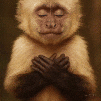 Monkey Meditating GIF by Maryanne Chisholm - MCArtist