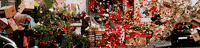 celebration explosion GIF