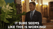 Chris Harrison Love GIF by The Bachelor