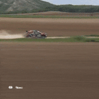 Erc Driving GIF by FIA European Rally Championship