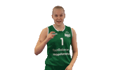 Sport Basketball Sticker by Basket_fi