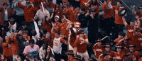 Hook Em GIF by Texas Longhorns