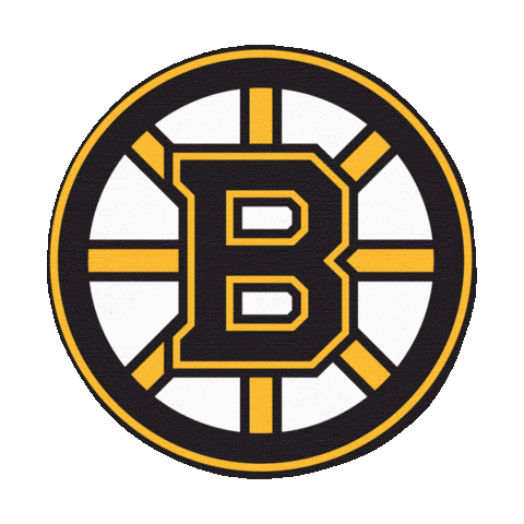 Boston Bruins Sticker by imoji