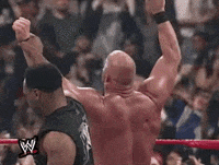steve austin wrestling GIF by WWE
