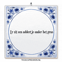 Afleiding Grap GIF by Tegelspreuken.nl