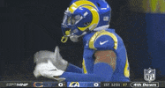 Regular Season Football GIF by NFL